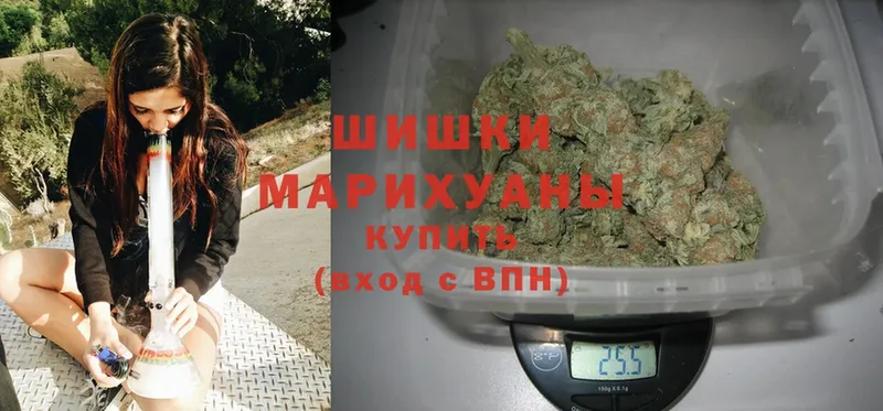 omg   купить наркотик  Алейск  мориарти формула  Марихуана White Widow 